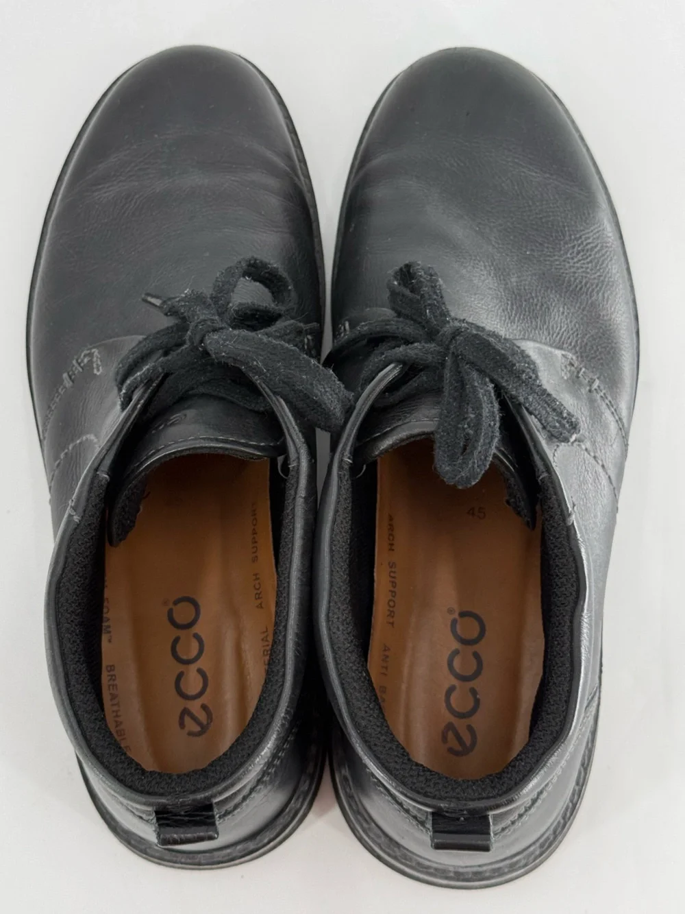 Ecco very good
